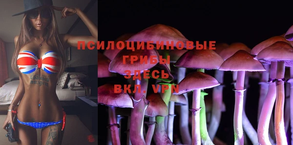 PSILOCYBIN Новодвинск