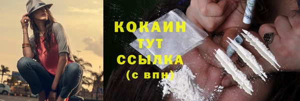 индика Новозыбков