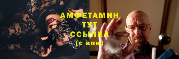 индика Новозыбков
