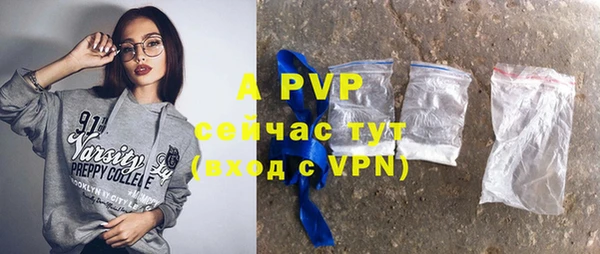 индика Новозыбков