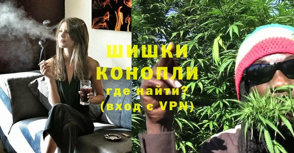 PSILOCYBIN Нефтегорск