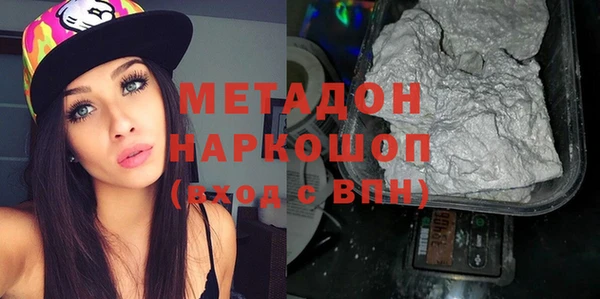 индика Новозыбков