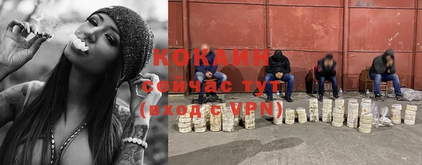 PSILOCYBIN Нефтегорск