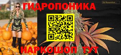 jwh Гусев