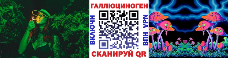 Псилоцибиновые грибы Cubensis  Армавир 