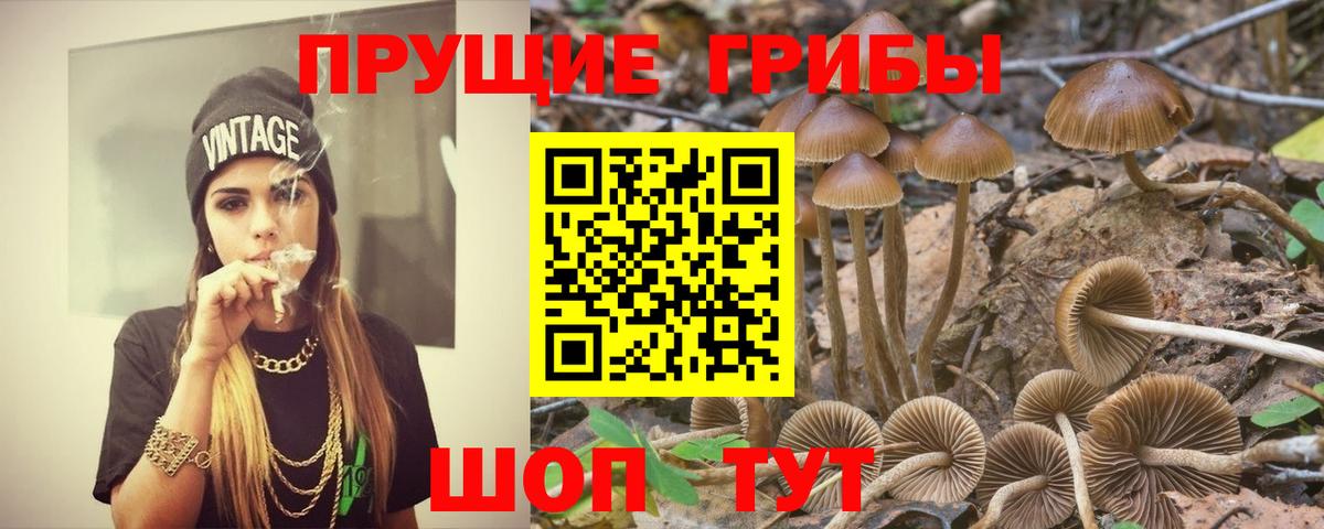 Псилоцибиновые грибы MAGIC MUSHROOMS Армавир