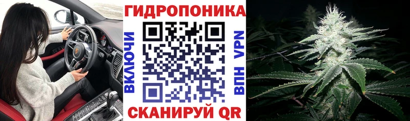 где купить наркотик Армавир Конопля тримм